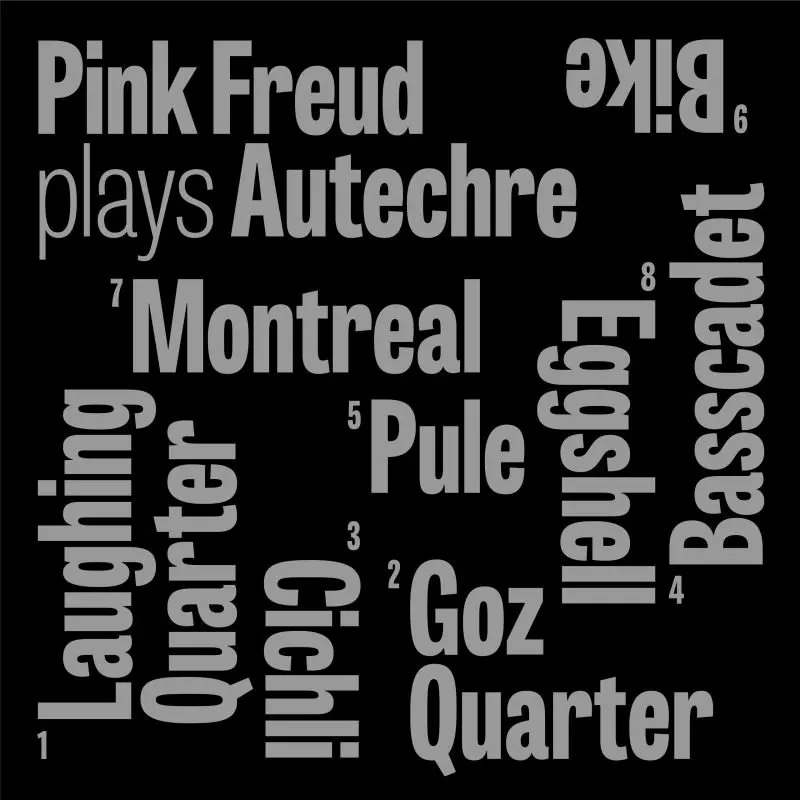 Pink Freud Plays Autechre, CD - Muzyka