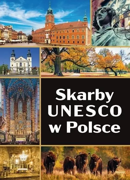 Skarby UNESCO w Polsce - Książki