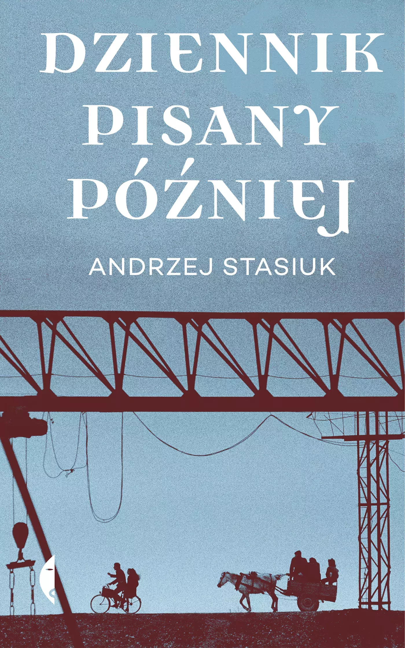 Dziennik pisany później - Książki