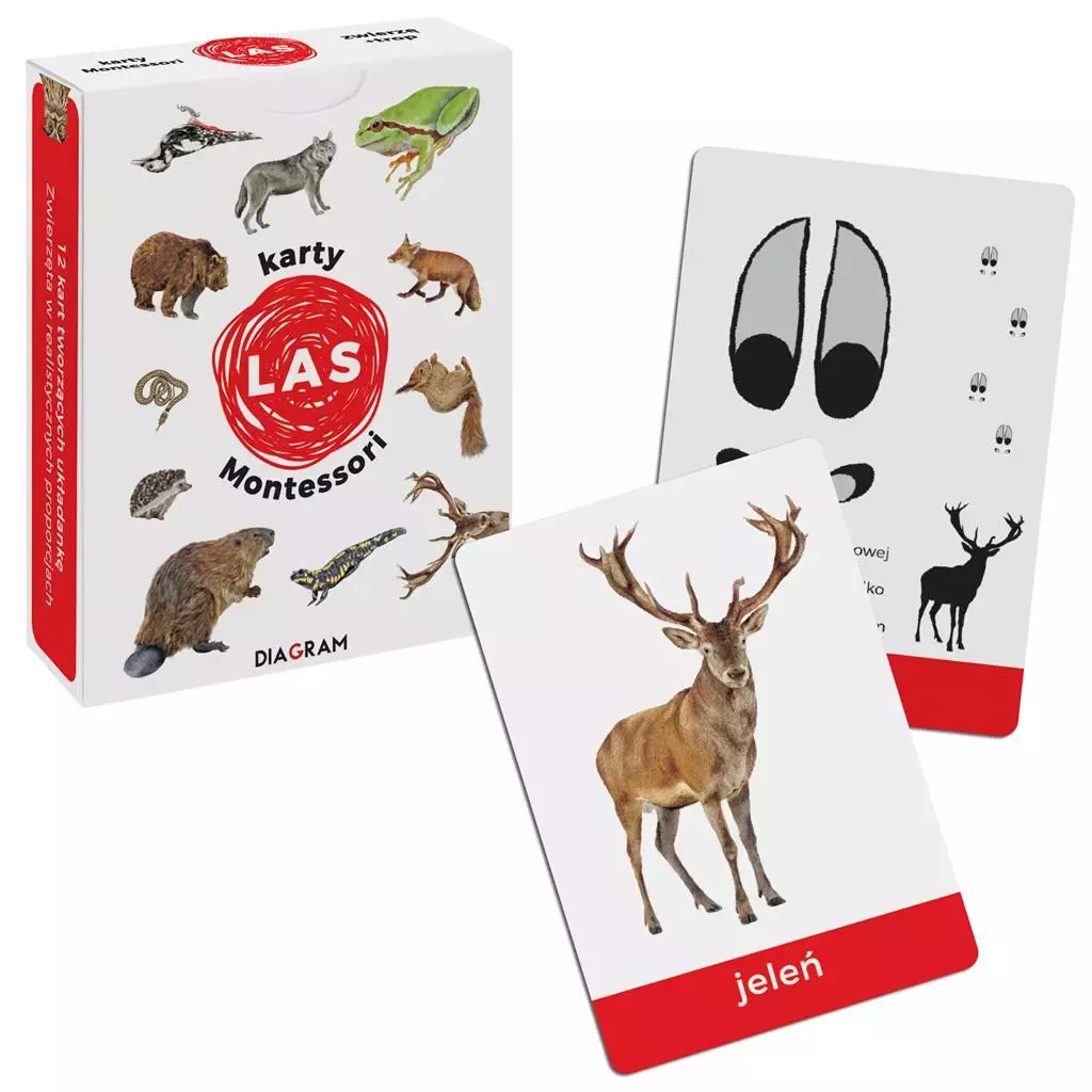 Karty Montessori. Las - Gry