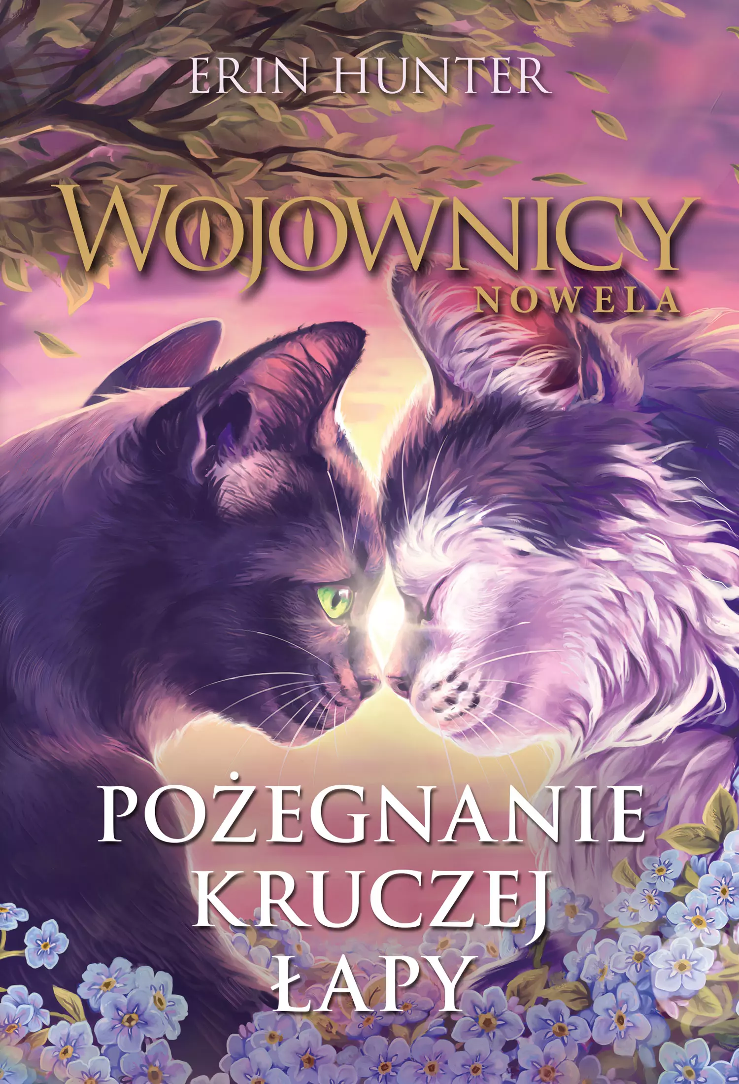 Pożegnanie Kruczej Łapy. Wojownicy. Nowela. Tom 9 - Książki