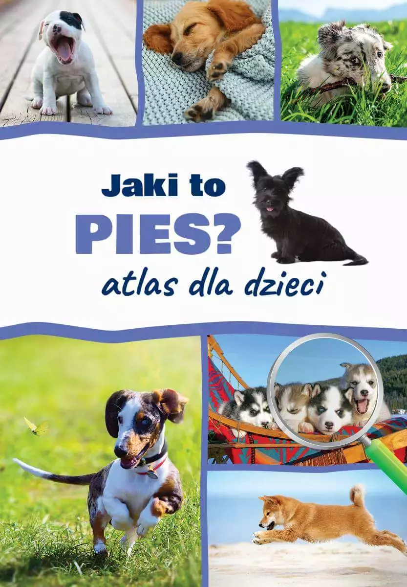 Atlas dla dzieci. Jaki to pies? - Książki