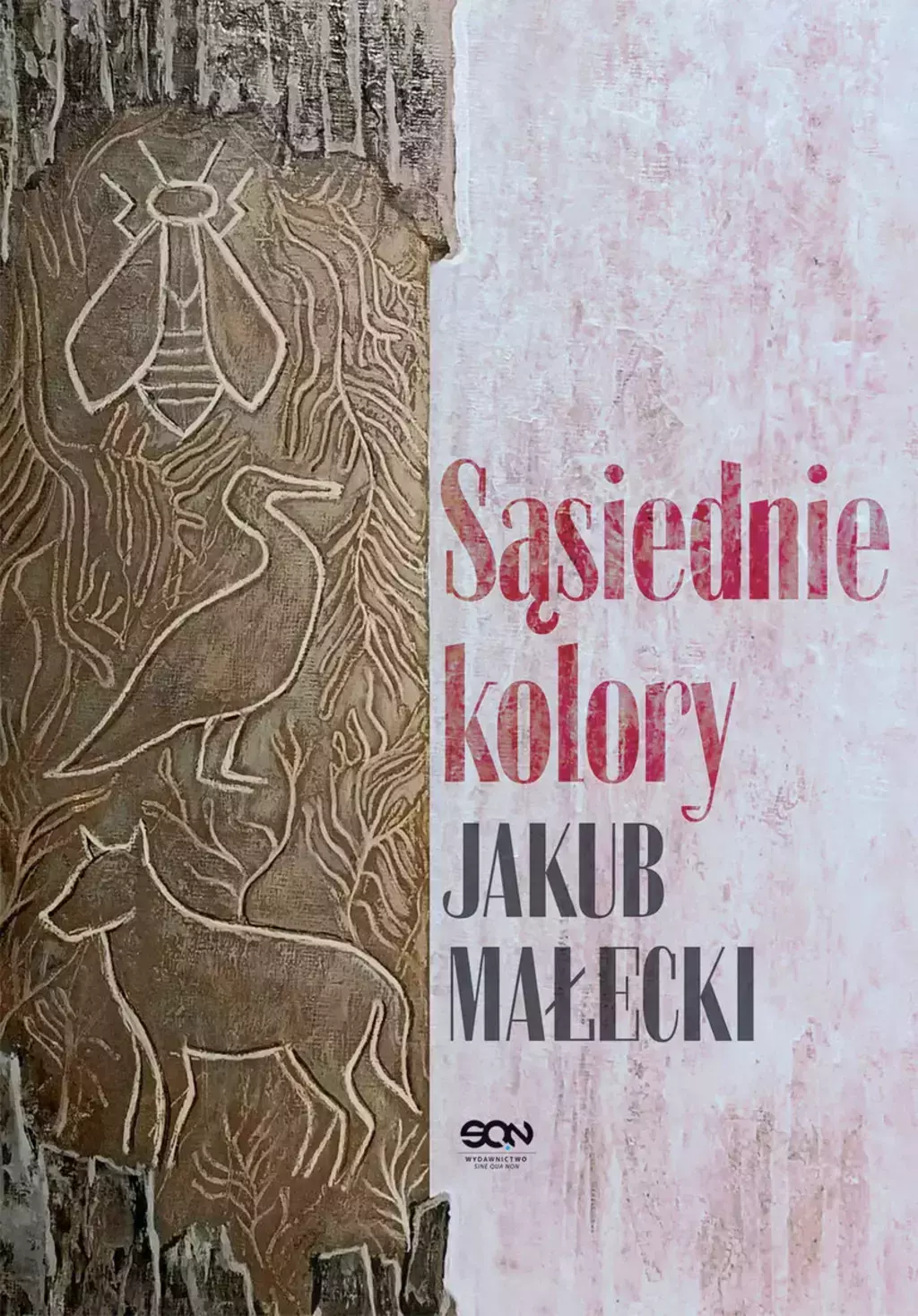 Sąsiednie kolory - Książki