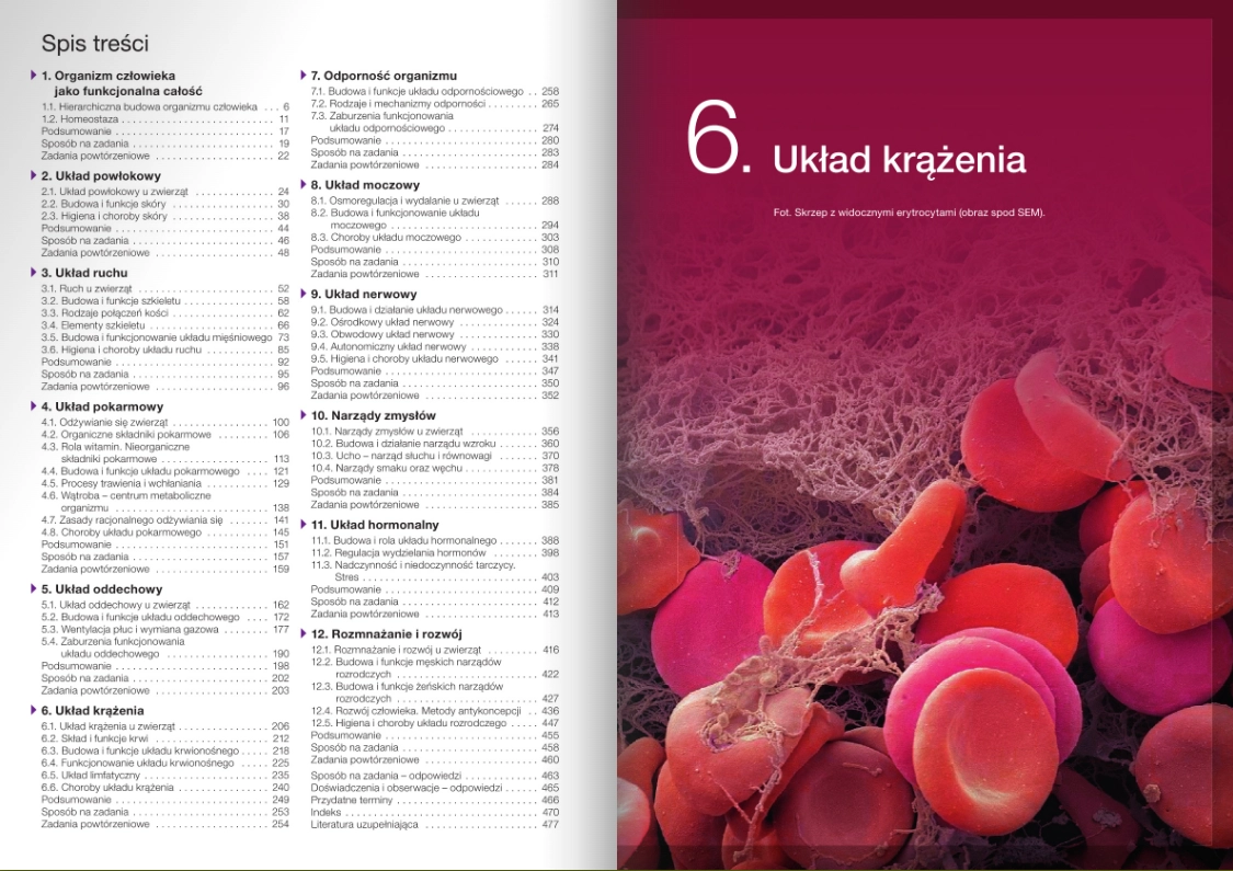 Nowa Biologia na czasie 3. Podręcznik dla liceum ogólnokształcącego i technikum. Zakres rozszerzony. Nowość 2026 - Książki