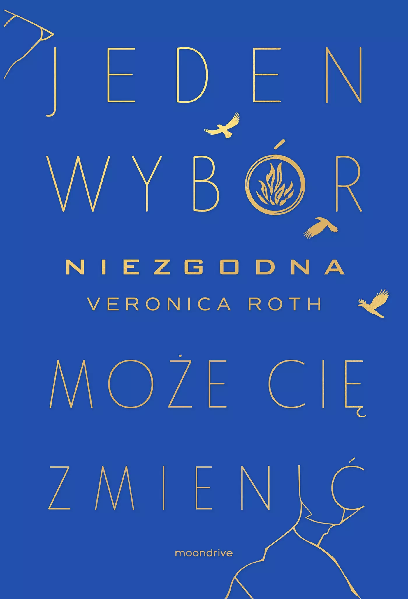 Niezgodna - Książki