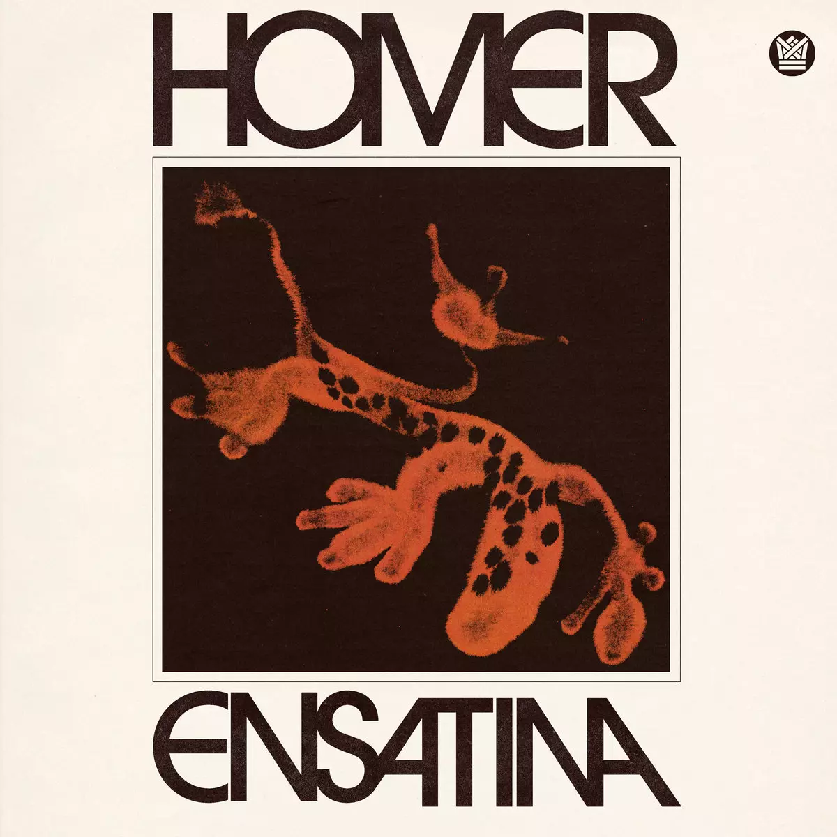 Ensatina LP, Winyl - Muzyka