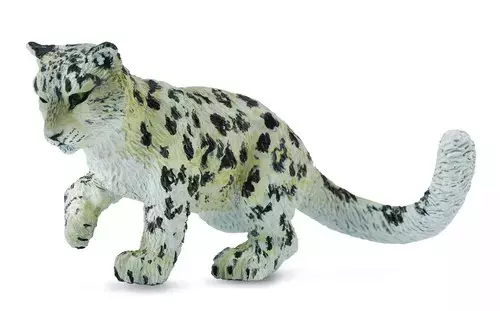 Leopard śnieżny młody bawiący się - Gry