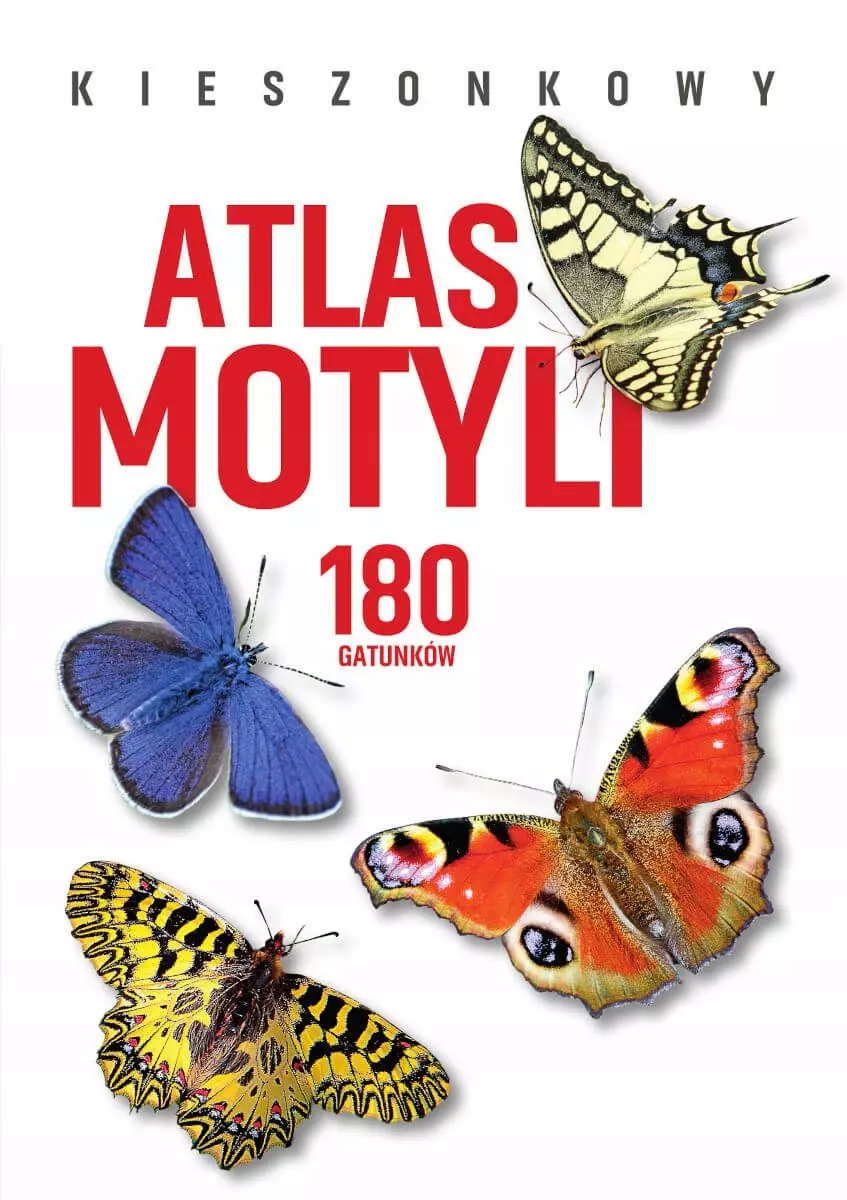 Kieszonkowy atlas motyli. 180 gatunków - Książki