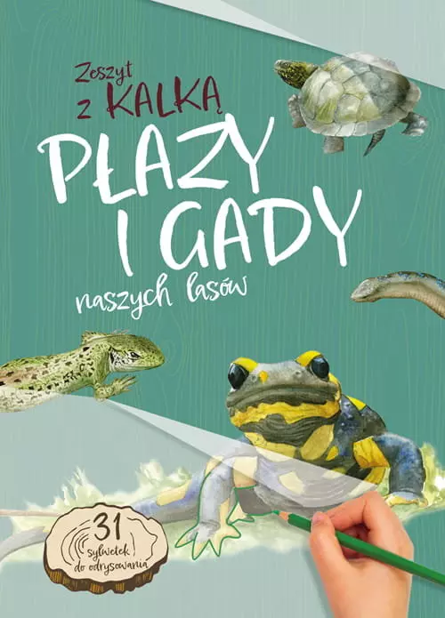 Płazy i gady naszych lasów. Zeszyt z kalką - Książki
