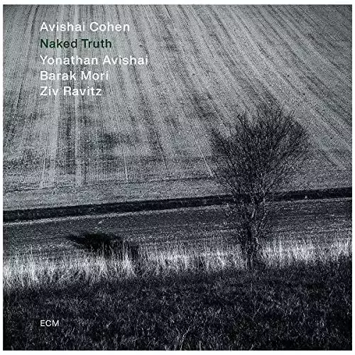 Naked Truth, Winyl - Muzyka