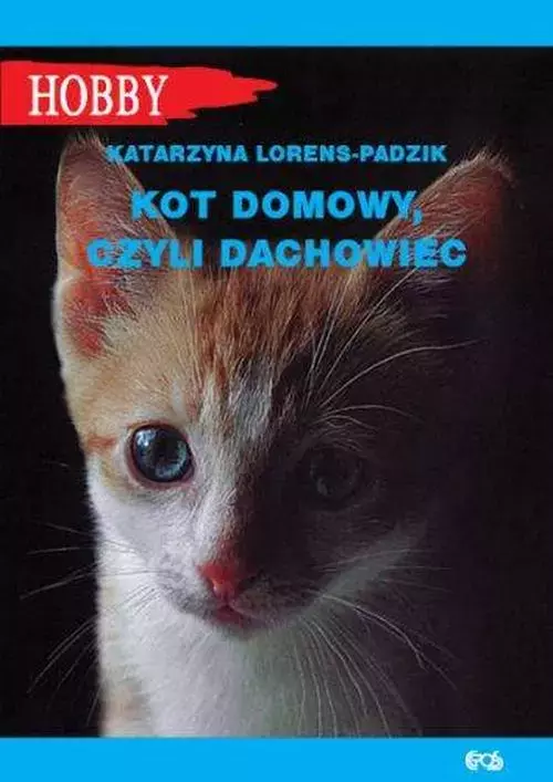 Kot domowy, czyli dachowiec - Książki