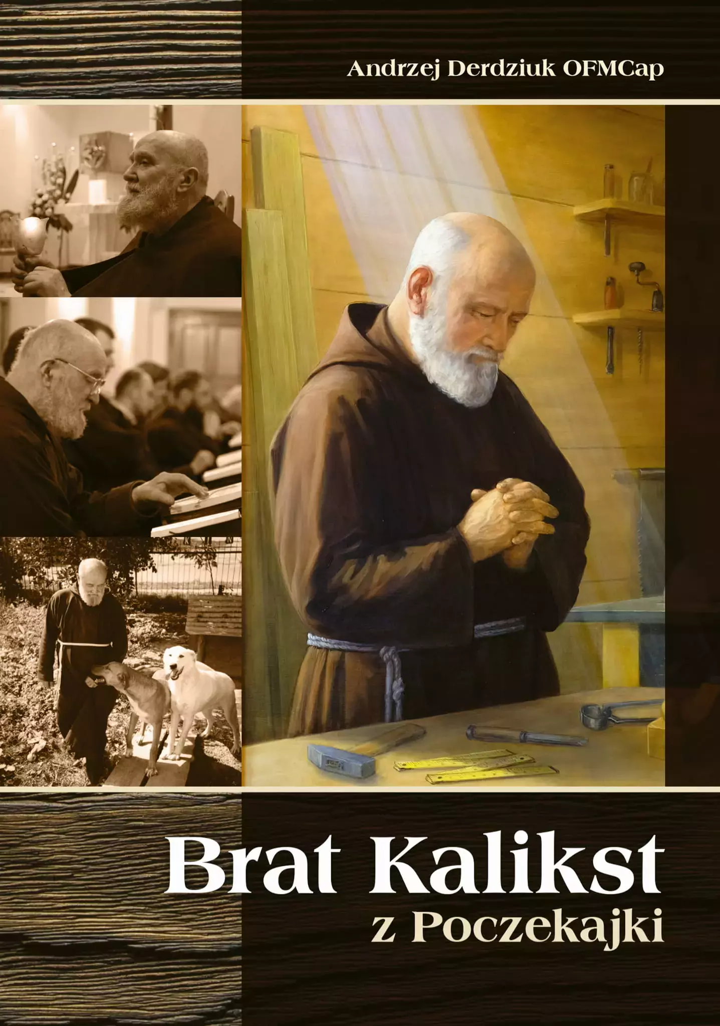 Brat Kalikst z Poczekajki - Książki