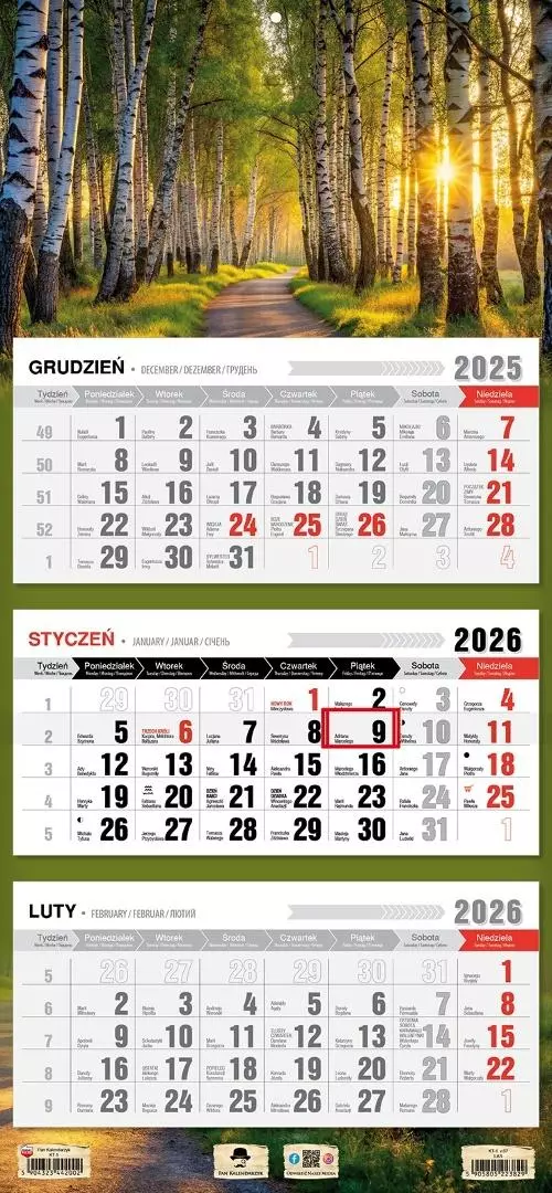 Kalendarz 2026 trójdzielny płaska główka las - Książki