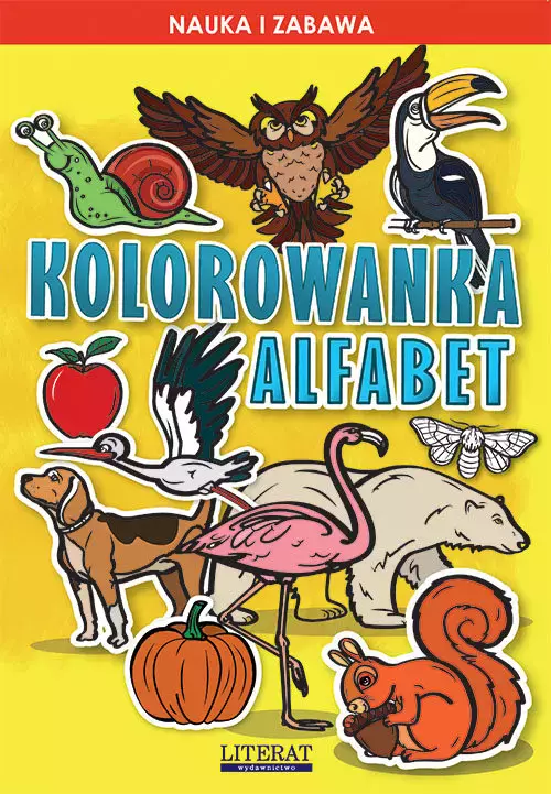 Kolorowanka Alfabet - Książki