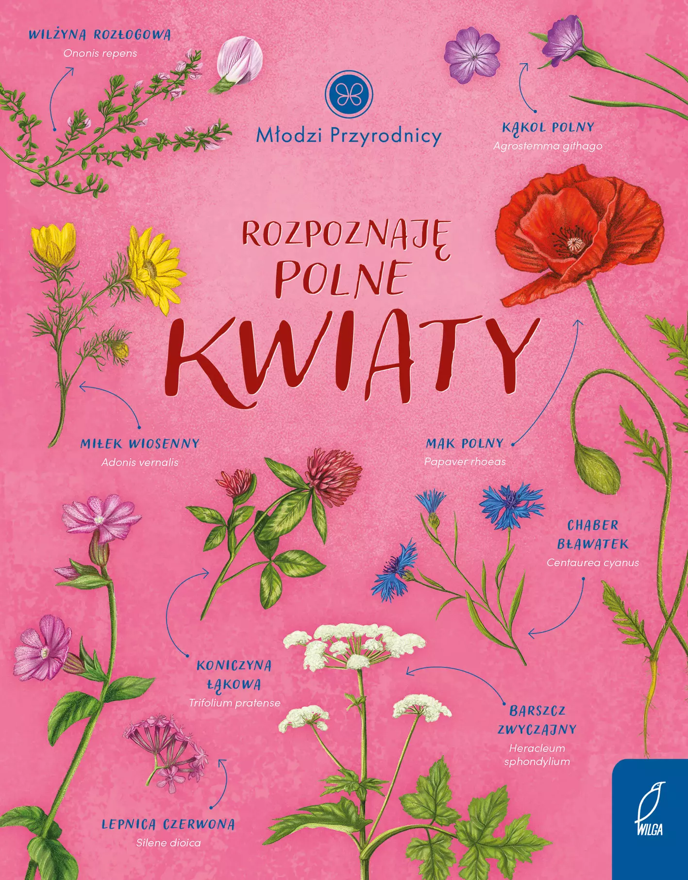 Młodzi przyrodnicy. Rozpoznaję polne kwiaty - Książki