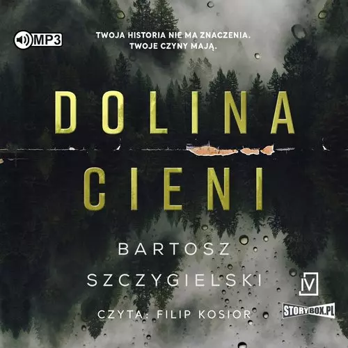 Dolina cieni. Audiobook - Audiobooki