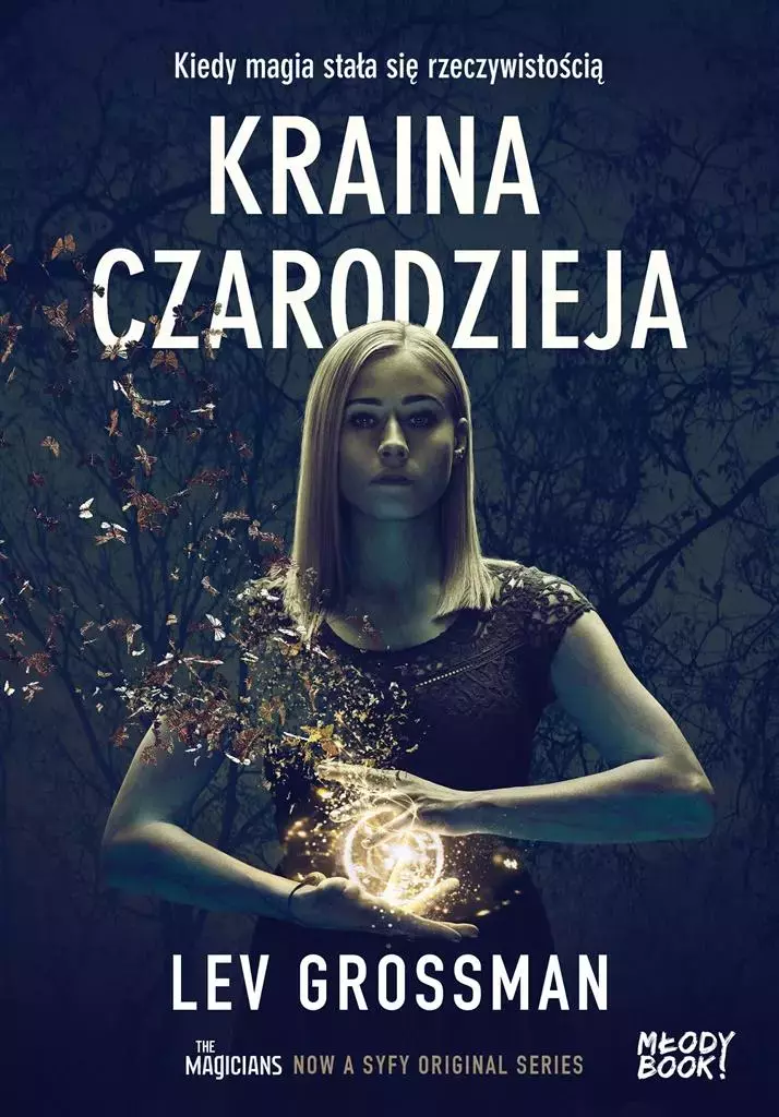 Kraina czarodzieja, książka papierowa - Książki