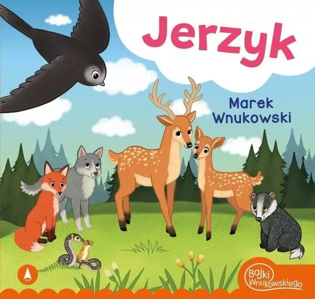 Jerzyk - Książki