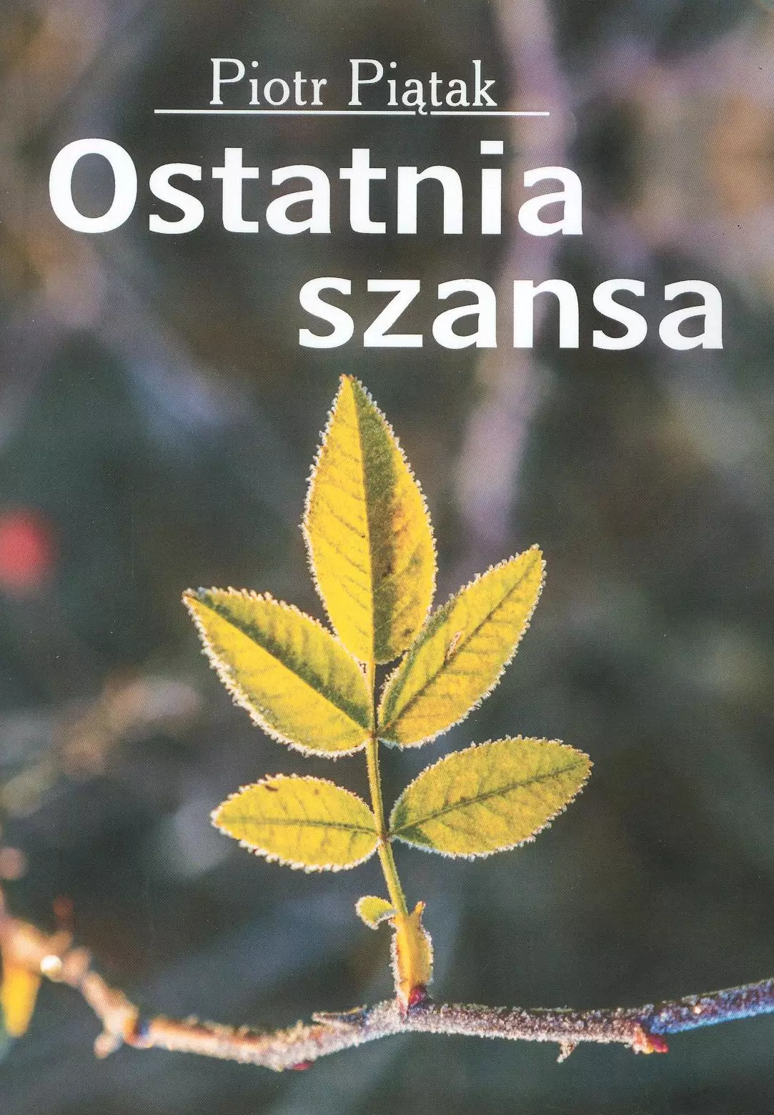 Ostatnia szansa - Książki