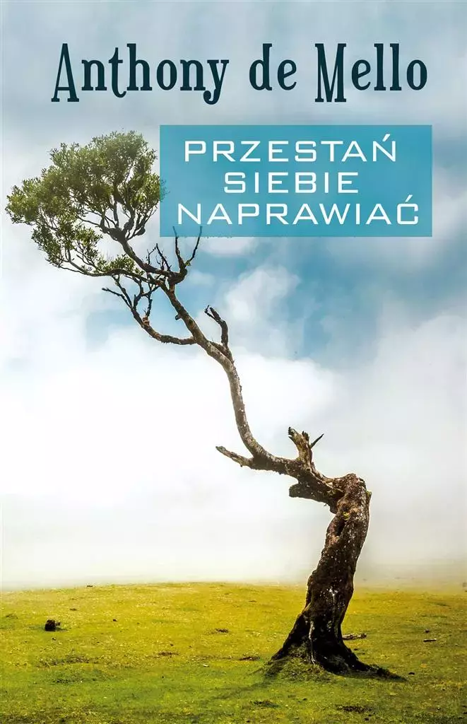 Przestań siebie naprawiać - Książki