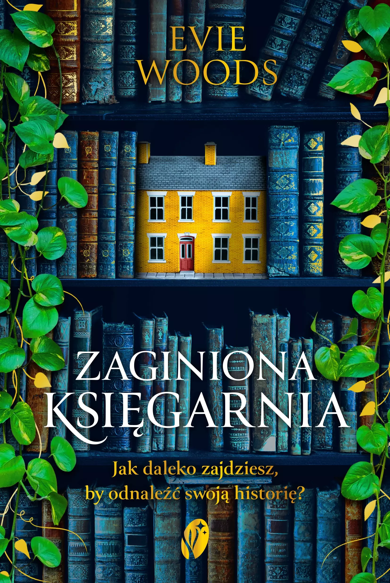 Zaginiona księgarnia - Książki