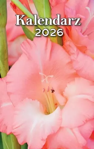 Kalendarz zdzierak tradycyjny 2026 z poradami zrywany zdzierany - Książki