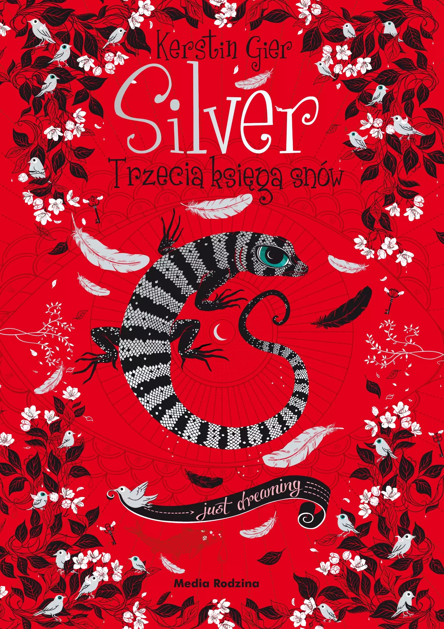 Silver. Trzecia księga snów - Książki
