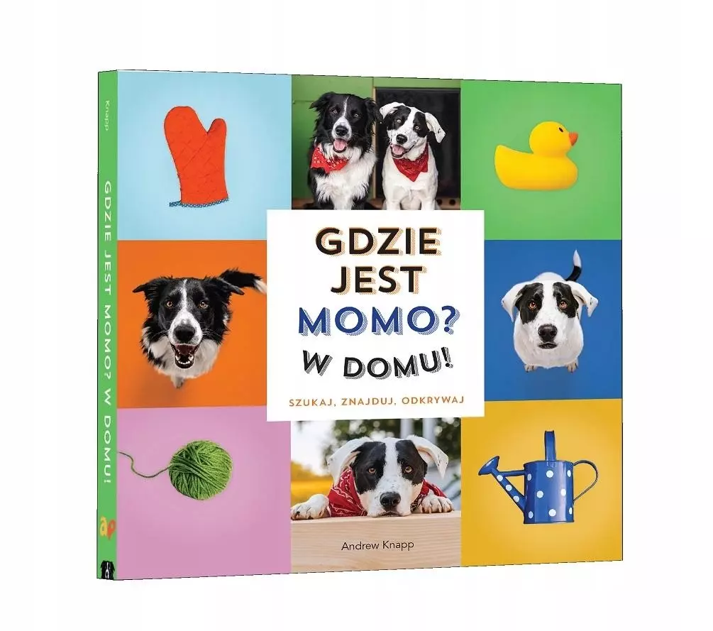 Gdzie jest Momo W domu - Książki