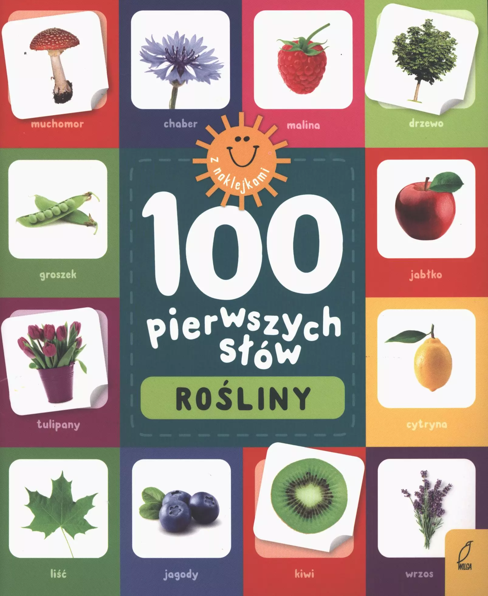 Rośliny. 100 pierwszych słów - Książki