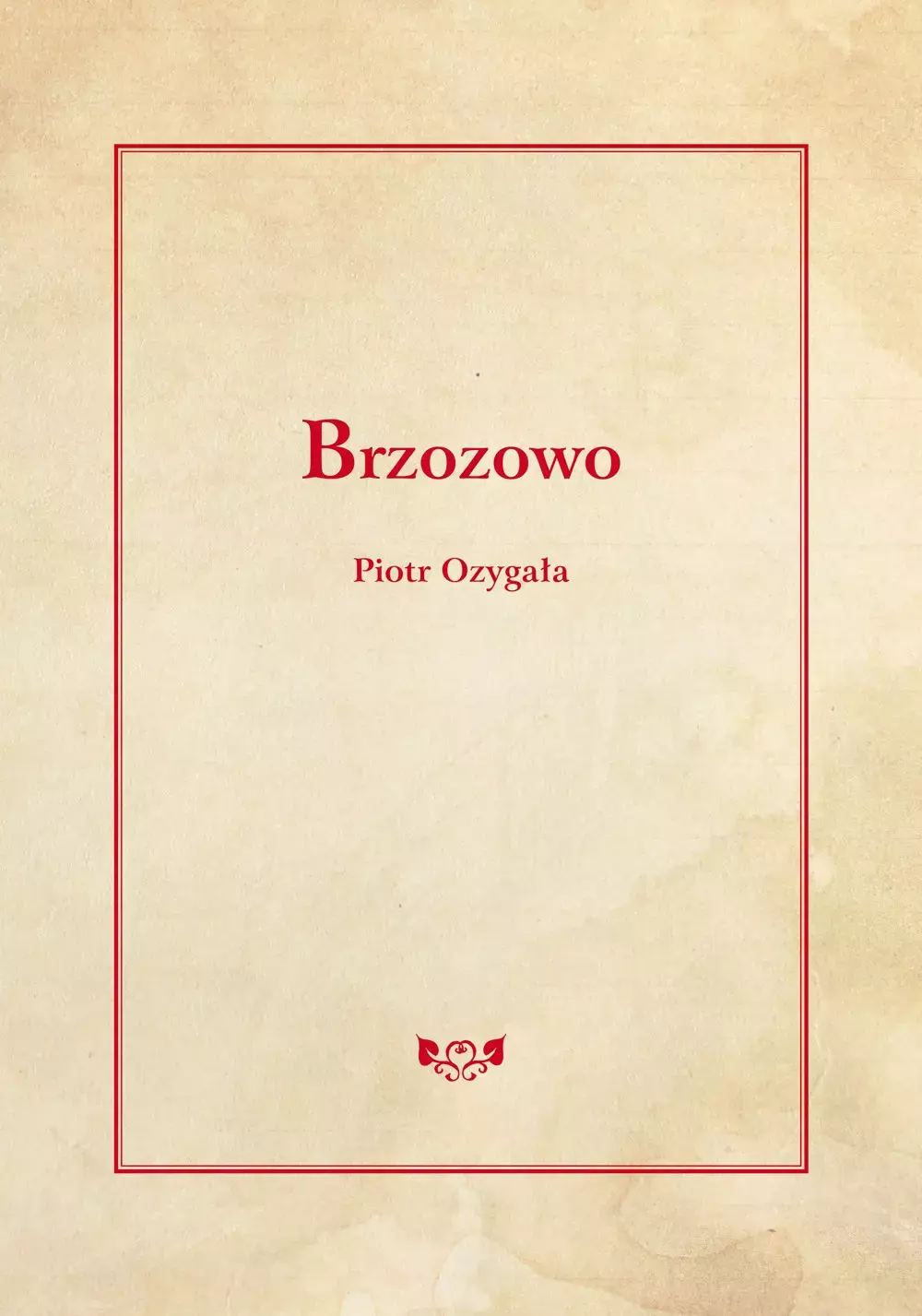 Brzozowo - Książki