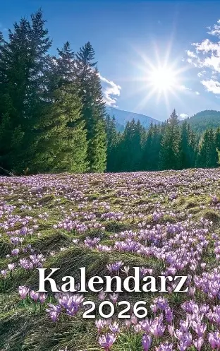 Kalendarz zdzierak tradycyjny 2026 z poradami zrywany zdzierany - Książki