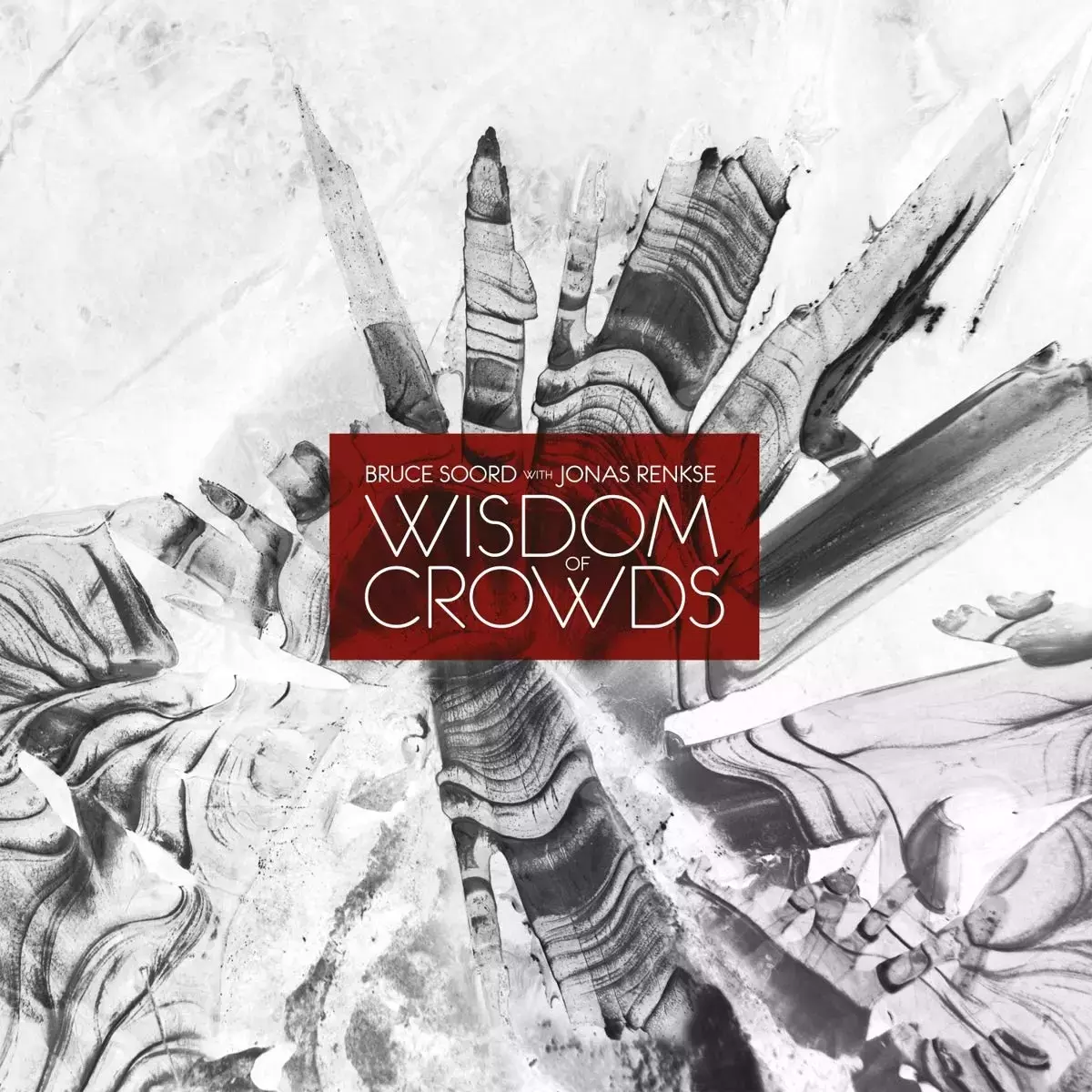 Wisdom Of Crowds LP, Winyl - Muzyka