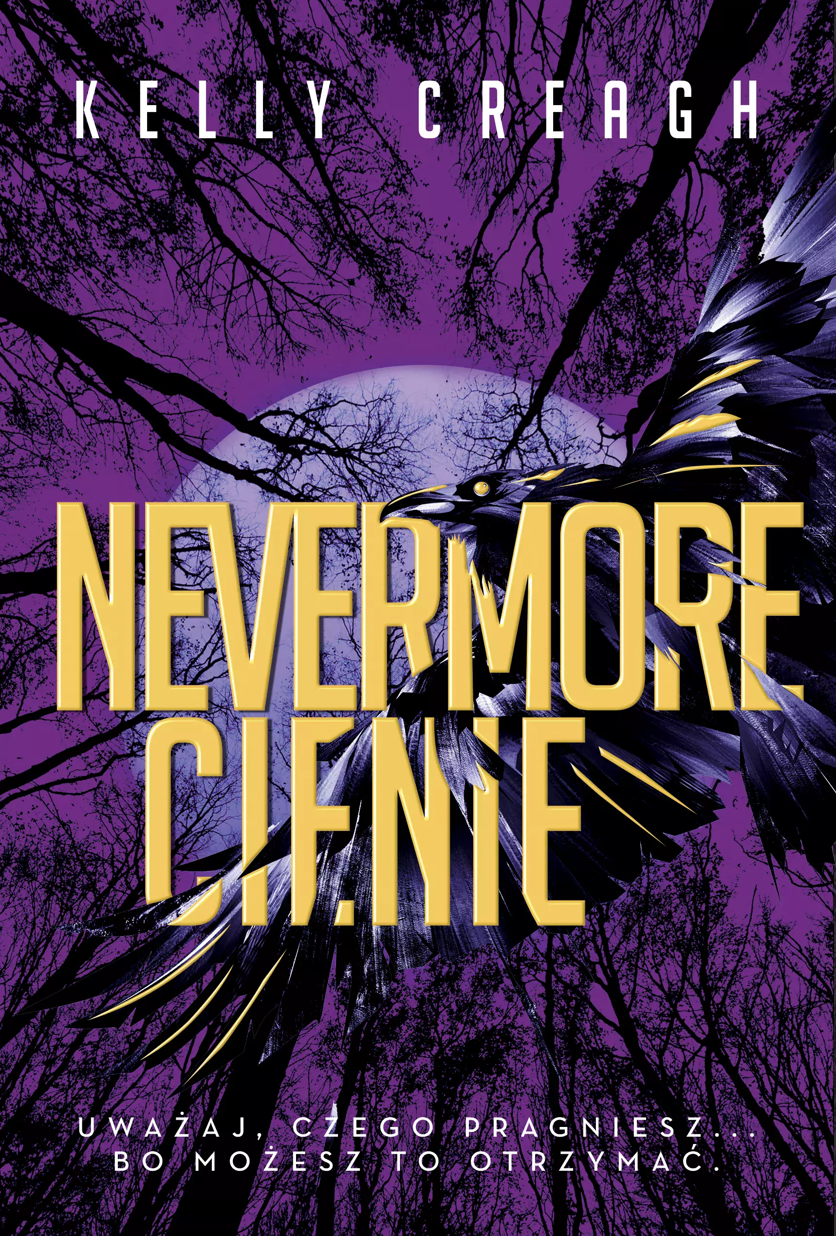 Nevermore. Cienie - Książki