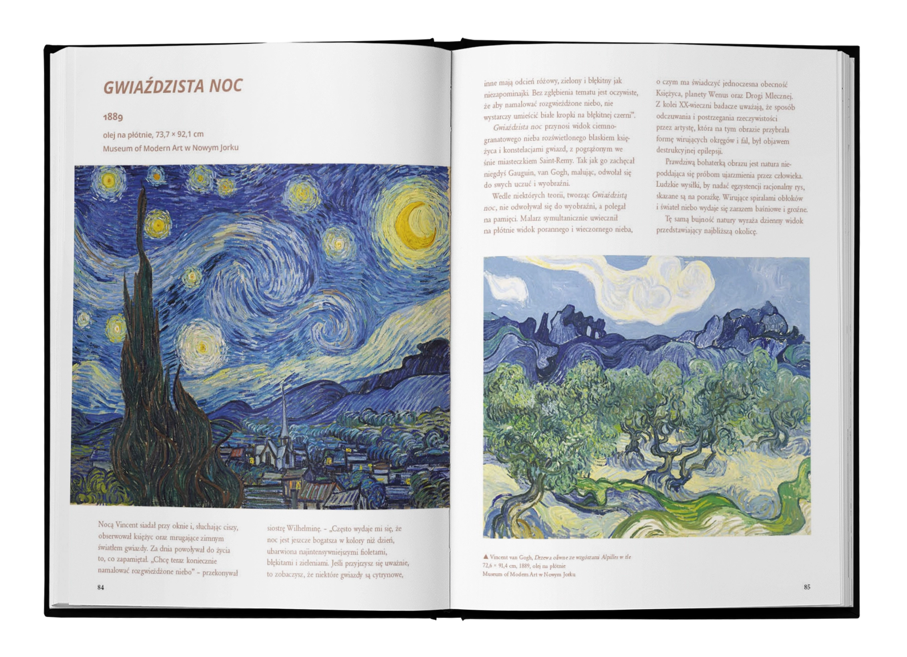 Malarze świata. Vincent van Gogh - Książki