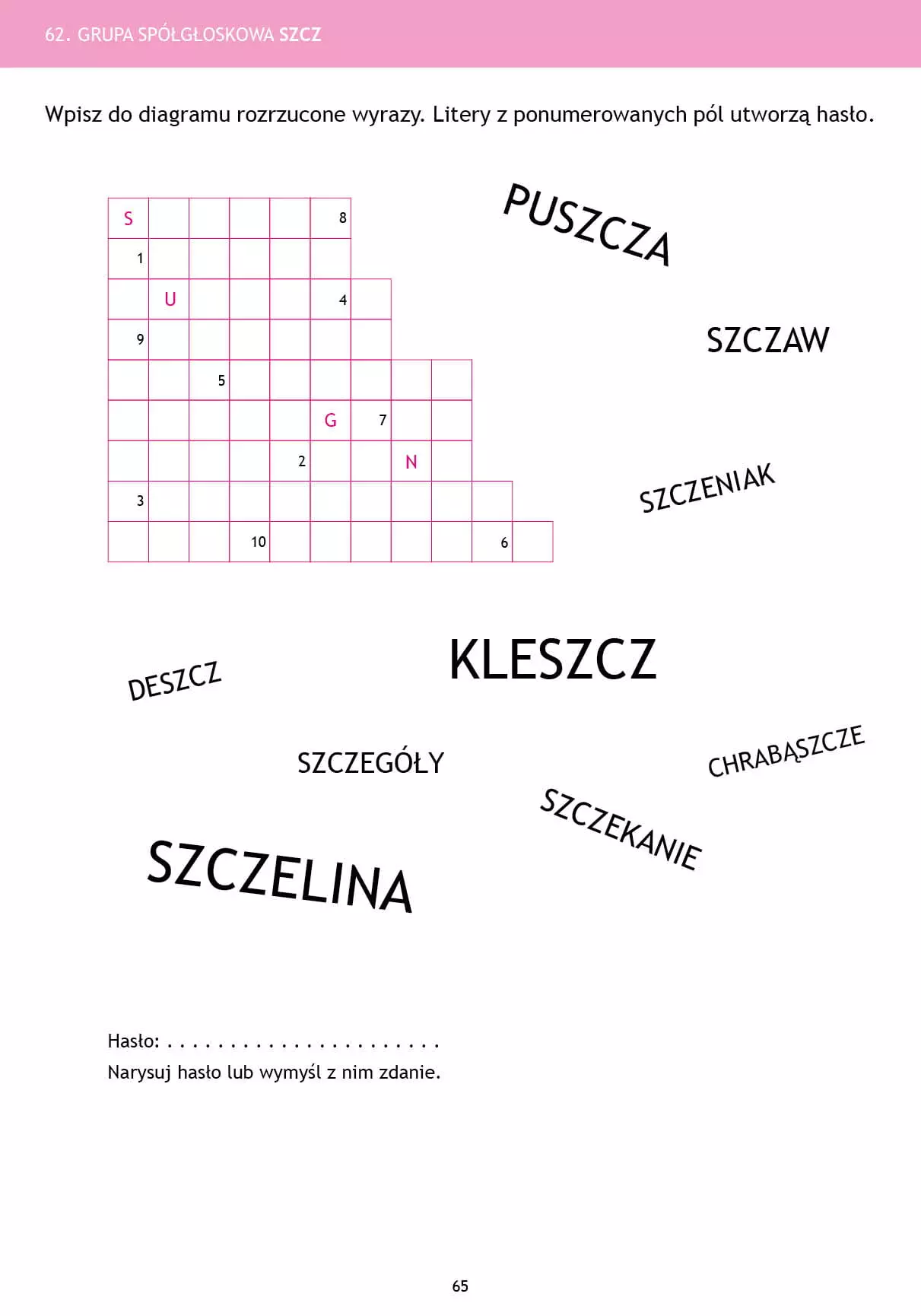 Krzyżówki logopedyczne - Książki