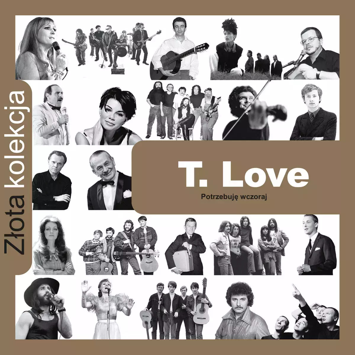 Złota kolekcja: T.Love (edycja limitowana Empik). CD - Muzyka