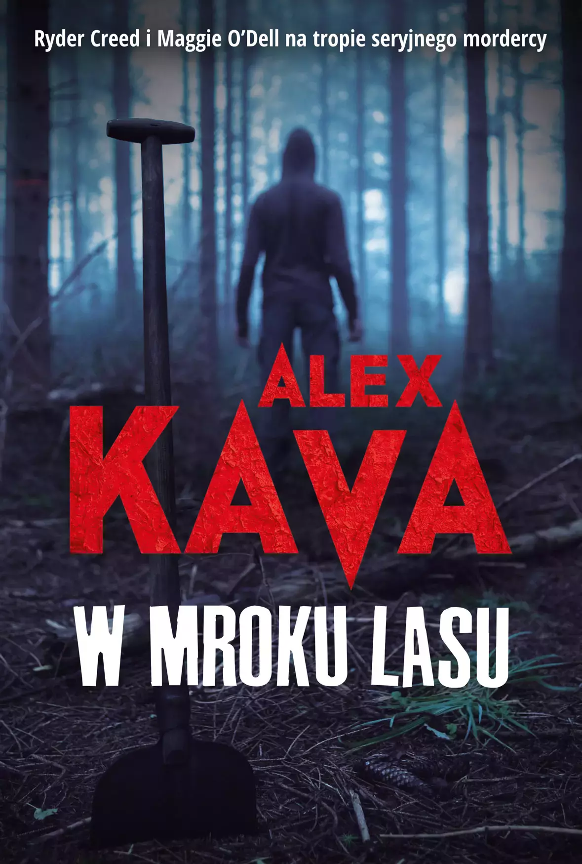W mroku lasu - Książki