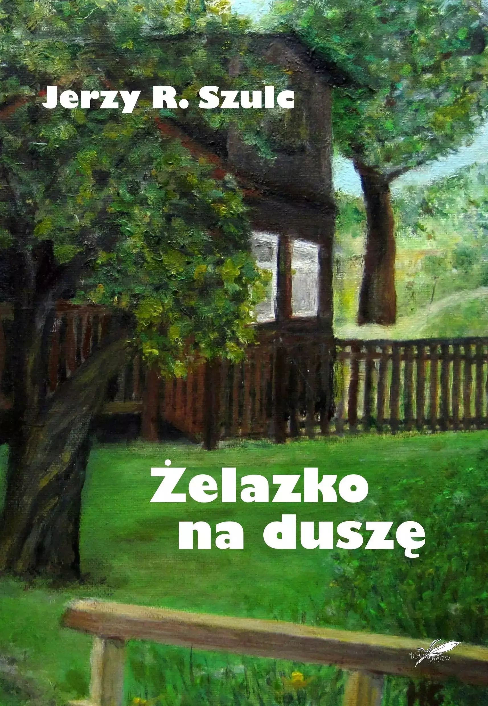 Żelazko na duszę - Książki