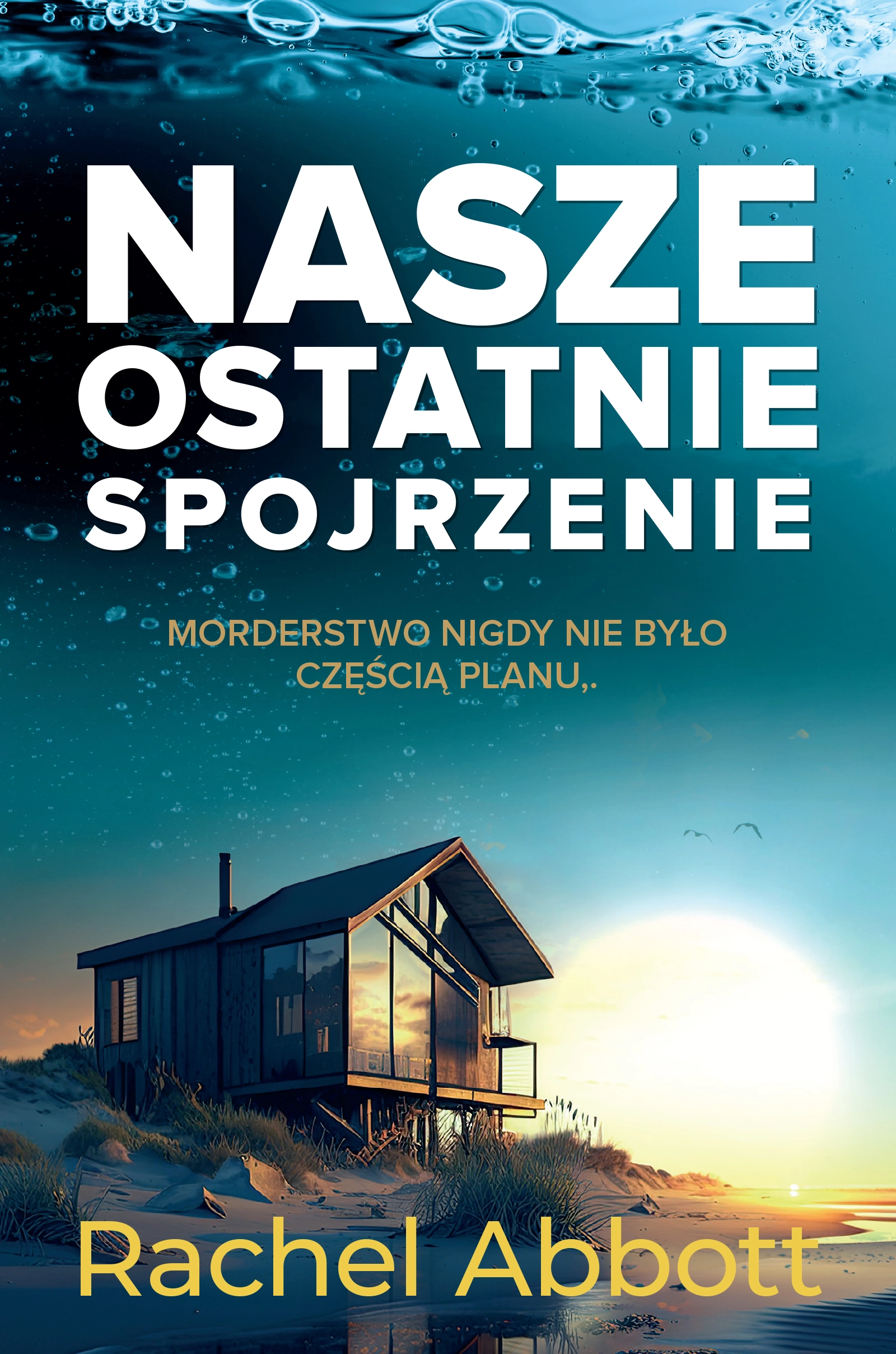 Nasze ostatnie spojrzenie - Książki