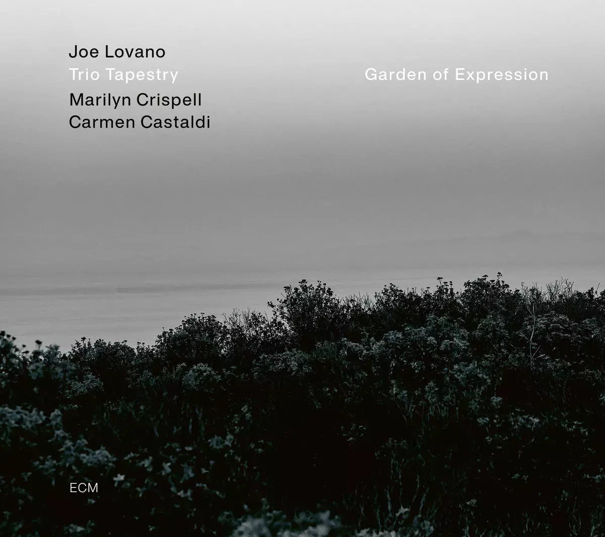 Garden of Expression. CD - Muzyka