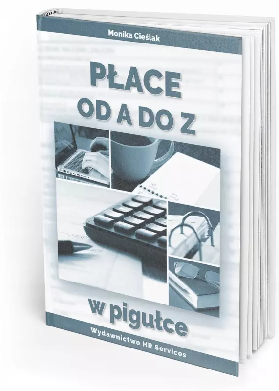 Płace od A do Z 2025 w pigułce - Książki