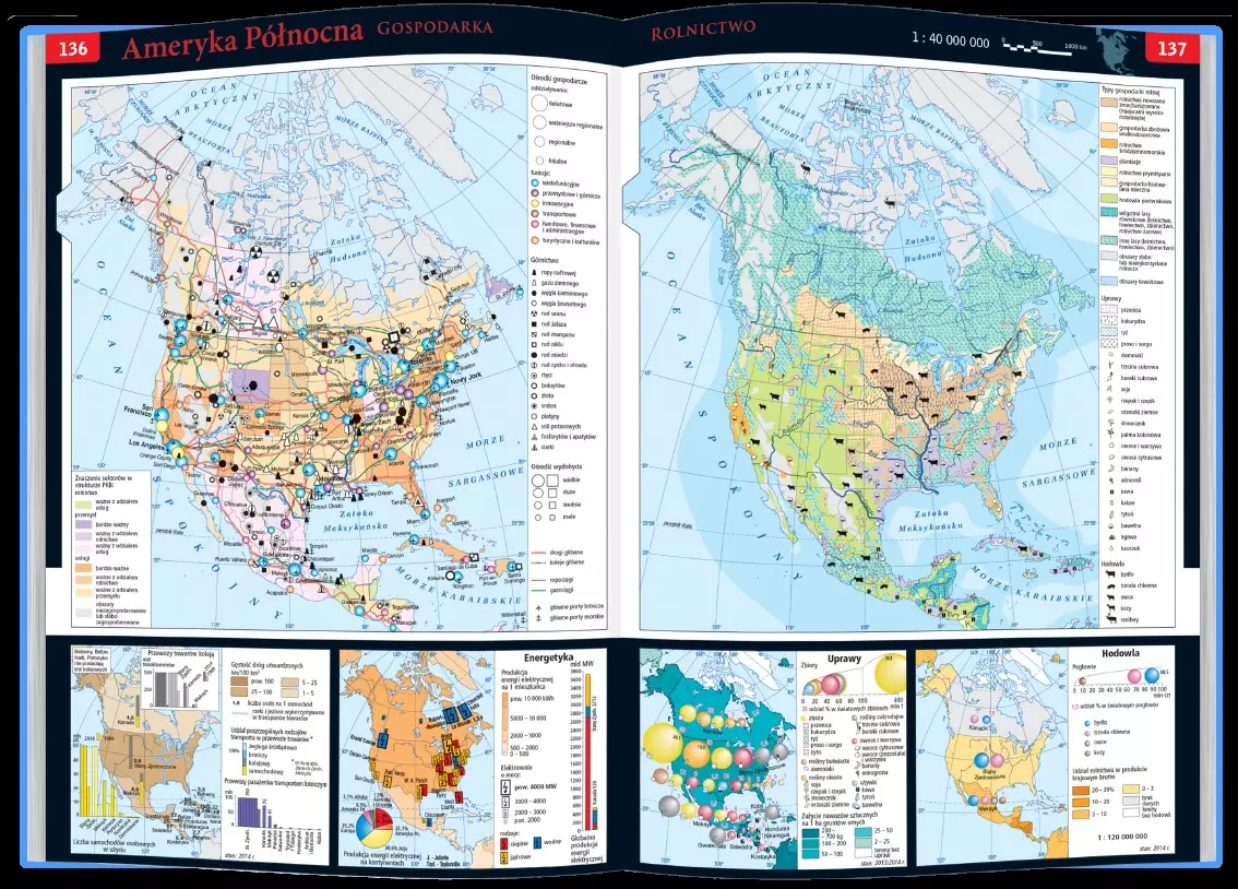 Szkolny atlas geograficzny - Książki