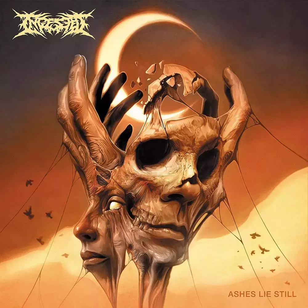 Ashes Lie Still, kolorowy LP - Muzyka