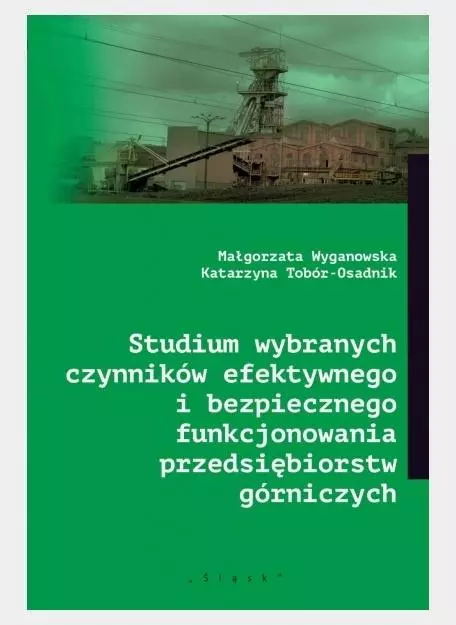 Studium wybranych czynników efektywnego... - Książki