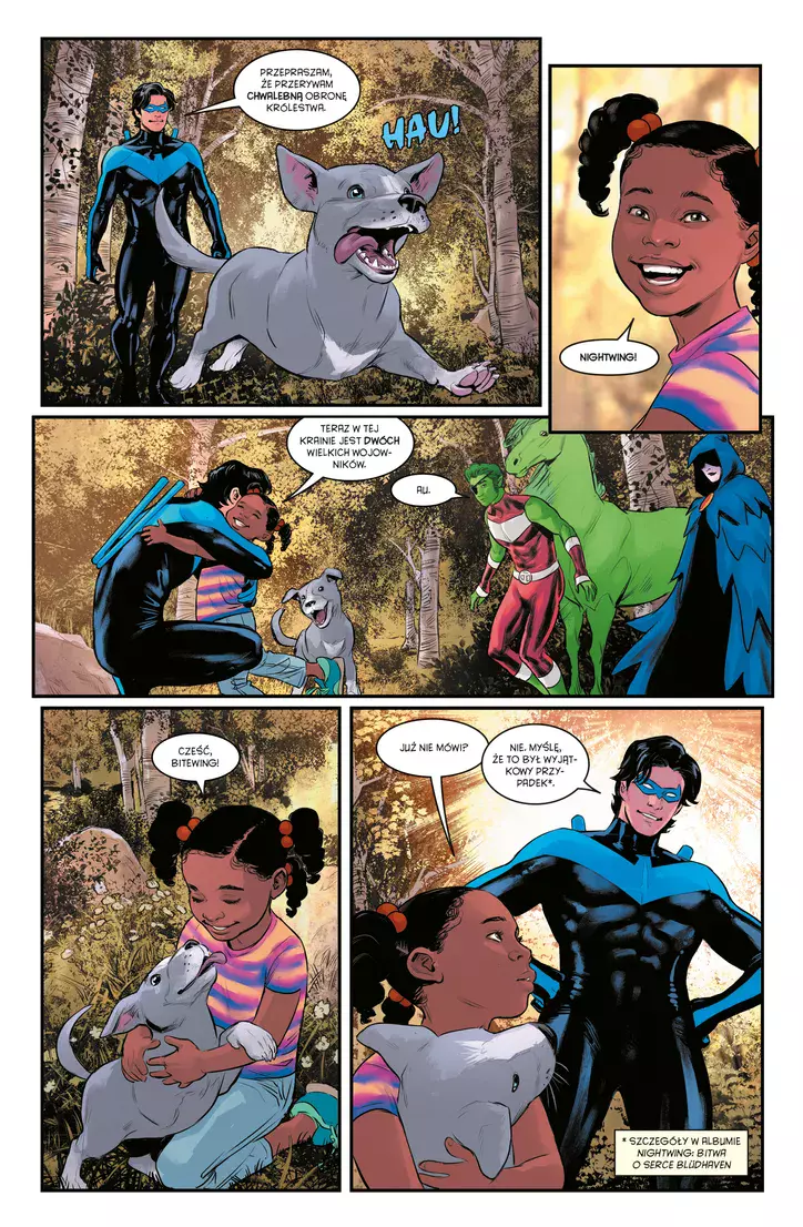 Nightwing. Czas Tytanów. Tom 3 - Książki