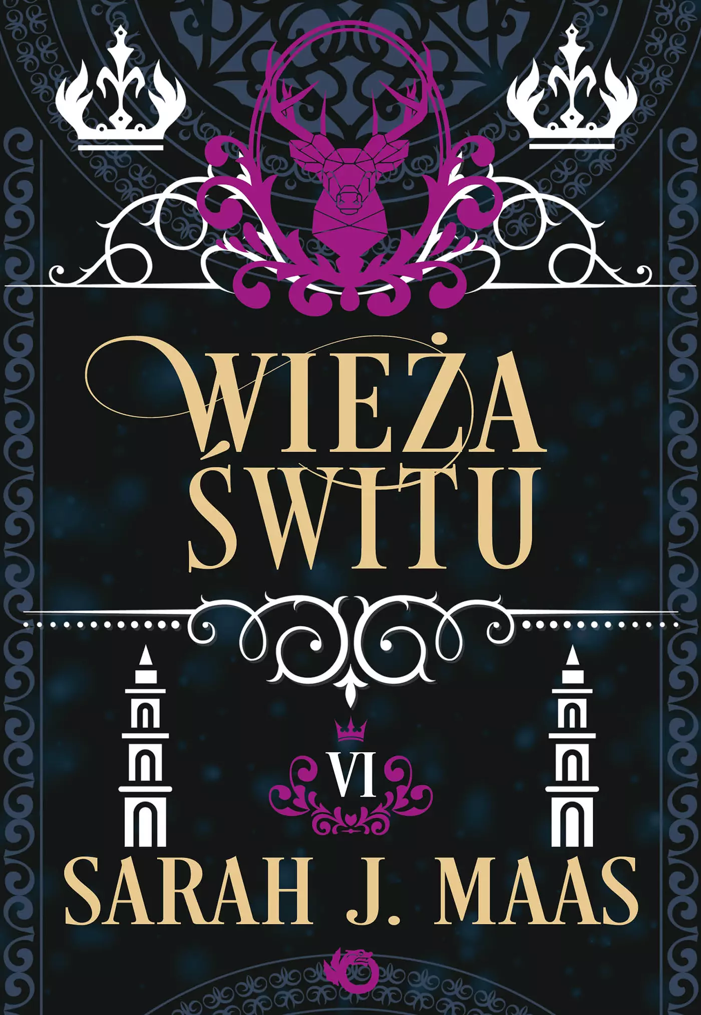 Szklany tron. Wieża świtu. Tom 6 - Książki