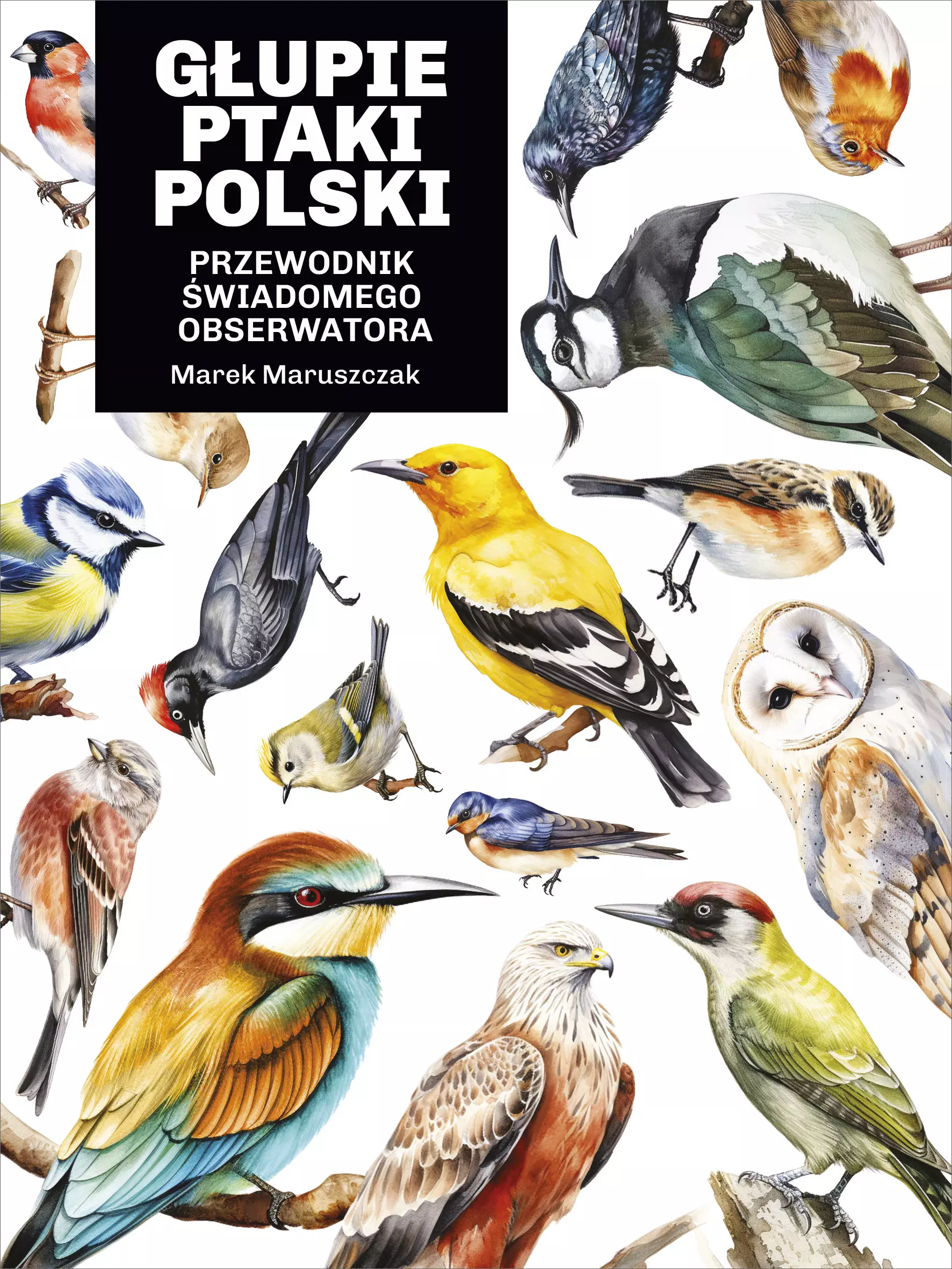 Głupie ptaki Polski. Przewodnik świadomego obserwatora - Książki