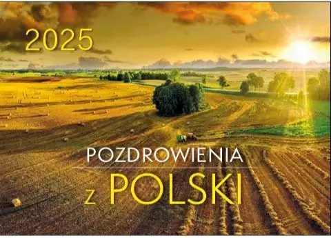 KALENDARZ 2025 ŚCIENNY NA ŚCIANĘ - Pozdrowienia z Polski - Książki