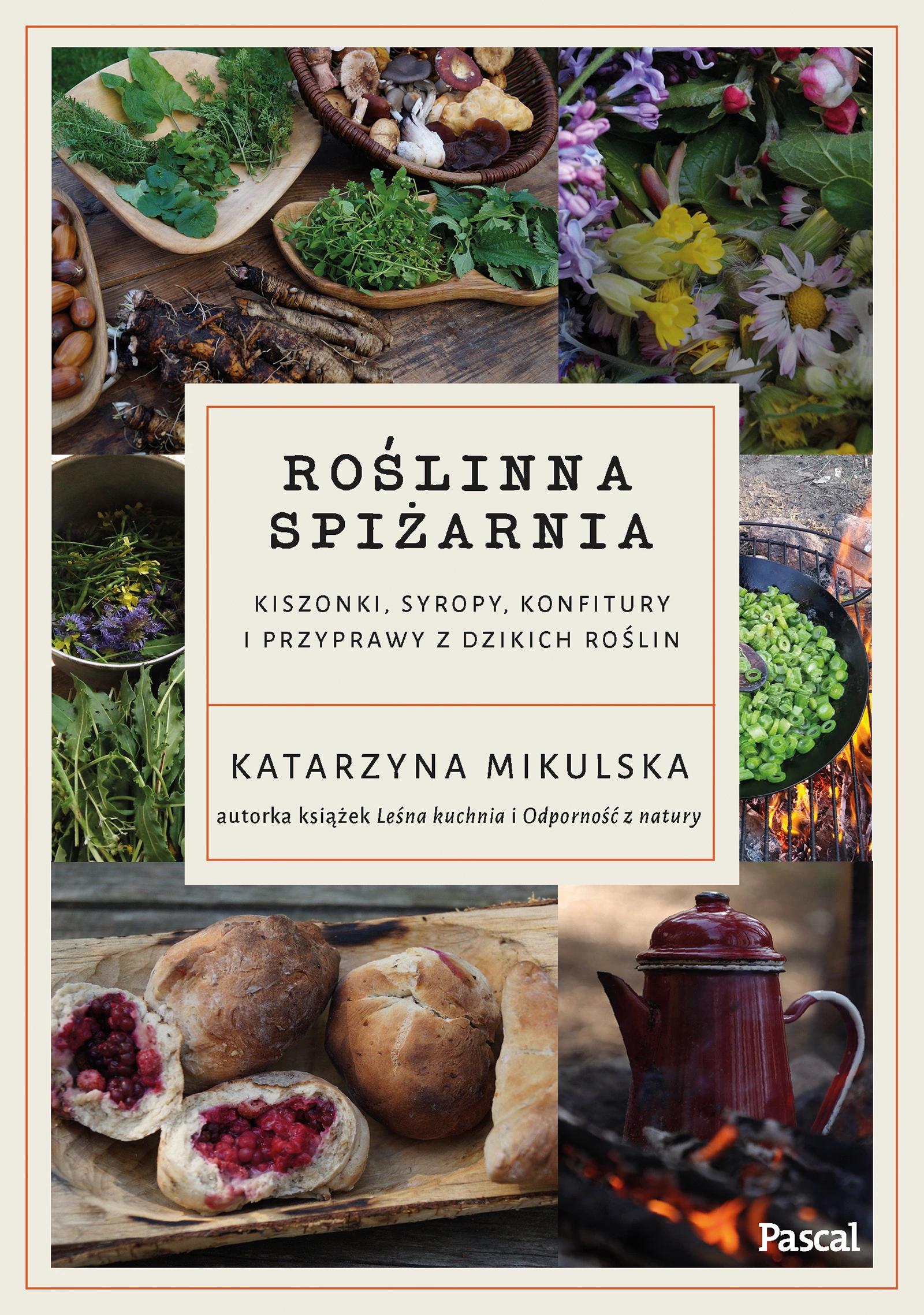 Roślinna spiżarnia. Kiszonki, syropy, konfitury i przyprawy z dzikich roślin - Książki