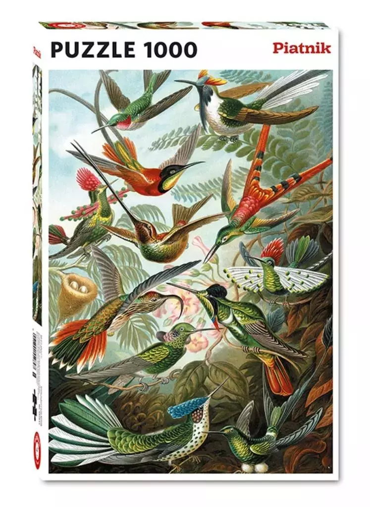 Puzzle 1000 - Haeckel, Kolibry PIATNIK - Puzzle
